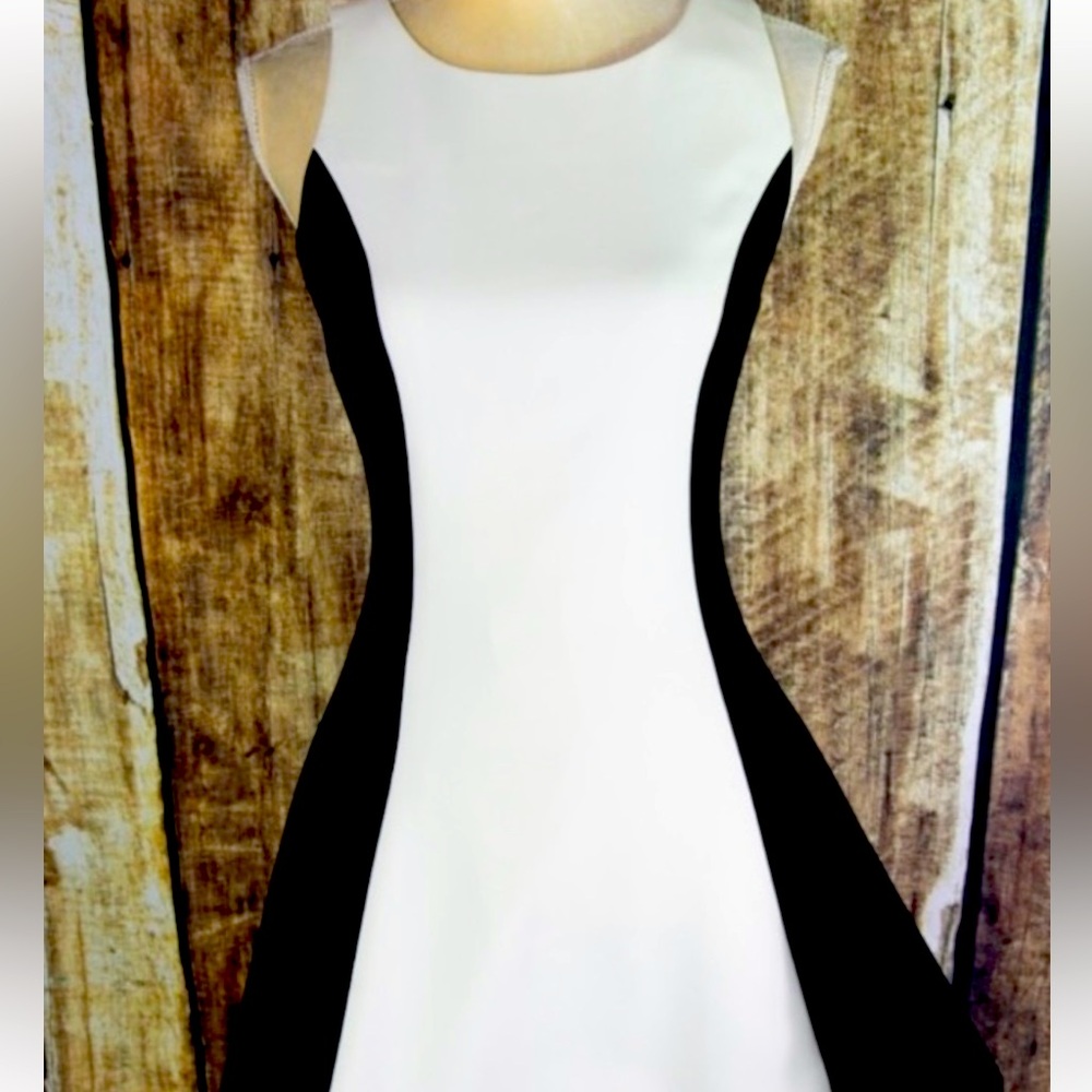 Likely Black & White Color Block Dress Size 4
